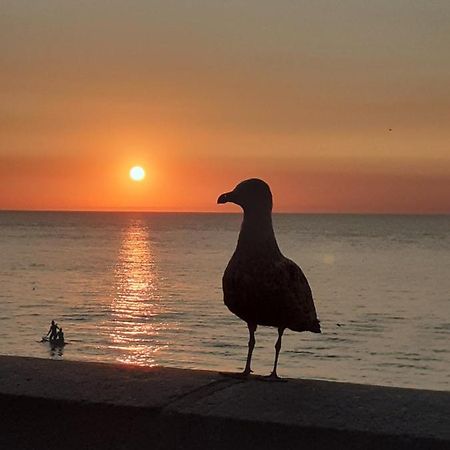 Camping Les Falaises De Toussaint Bagian luar foto