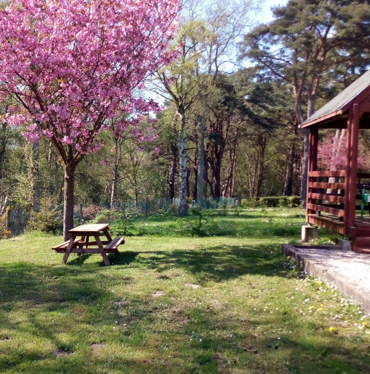 Camping Les Falaises De Toussaint Bagian luar foto